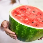 bezopasna-li-e-korata-na-dinyata-za-konsumatsiya-otgovorat-shte.webp.webp