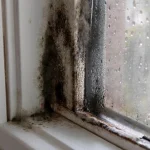 kak-bezopasno-da-pochistim-darvoto-ot-muhal-eksperti-po-restavratsiya.webp.webp